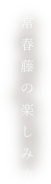 素材の旨みを食す